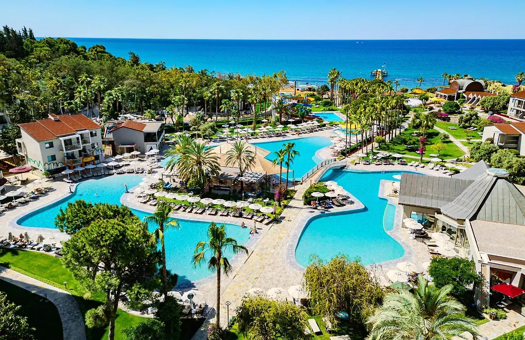 Arum Barut Collection